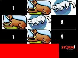 Catz 'n Dogz