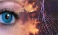 Thumbnail for version as of 06:15, 2 March 2023